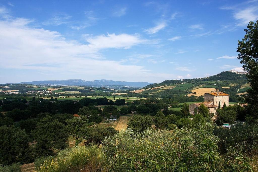 Gli Appartamenti Di Torre Bertona 托迪 外观 照片