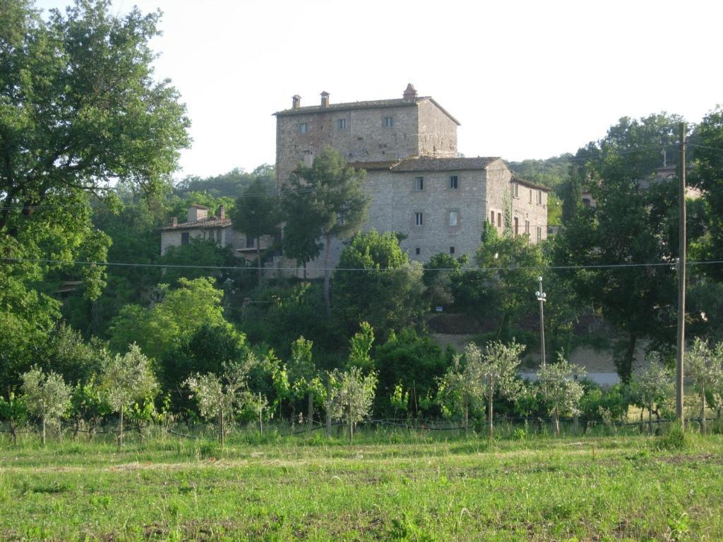 Gli Appartamenti Di Torre Bertona 托迪 客房 照片